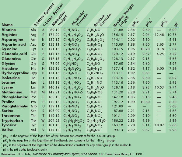 common hydrophobic amino acids